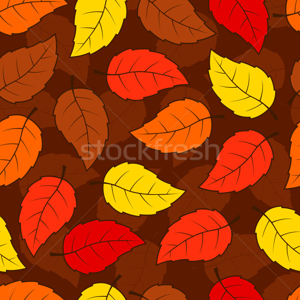 Sin costura hojas patrón hojas de otoño árbol forestales Foto stock © karandaev