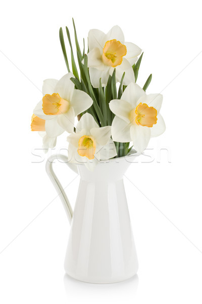 Bouquet bianco narcisi brocca isolato primavera Foto d'archivio © karandaev