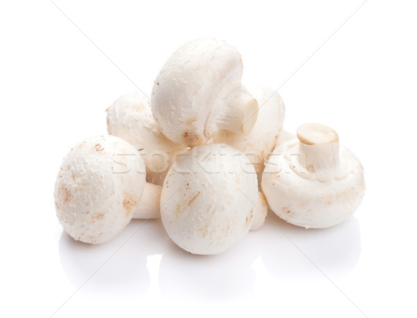 Champignon gombák izolált fehér stúdió zöldség Stock fotó © karandaev