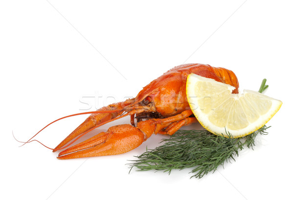 Boiled crayfish with lemon slice and dill Stock photo © karandaev