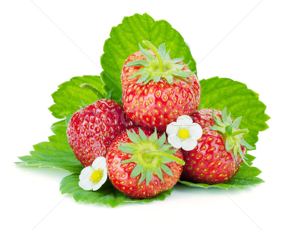 Four strawberry fruits with green leaves and flowers Stock photo © karandaev