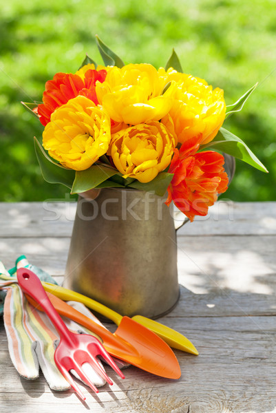 Colorful tulips and garden tools Stock photo © karandaev