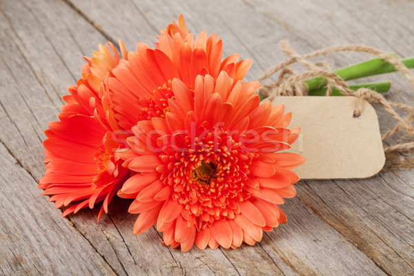 Orange gerbera flowers with tag Stock photo © karandaev