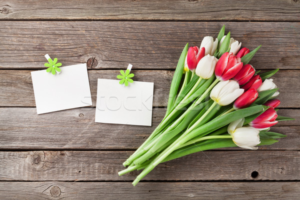 Stock photo: Fresh tulip flowers bouquet and photo frames