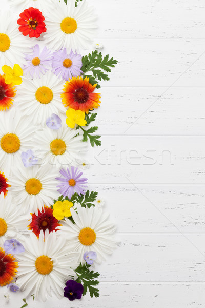Garden flowers on wooden background Stock photo © karandaev