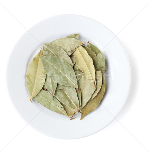 Aromatic bay leaves Stock photo © karandaev