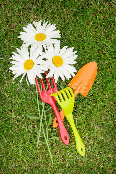 Three chamomile flowers and garden tools over green grass Stock photo © karandaev