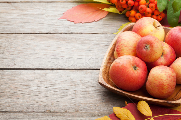 Autumn leaves, rowan berries and apples over wood background Stock photo © karandaev