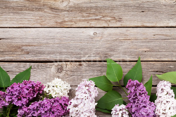 Foto stock: Colorido · lila · flores · superior · vista