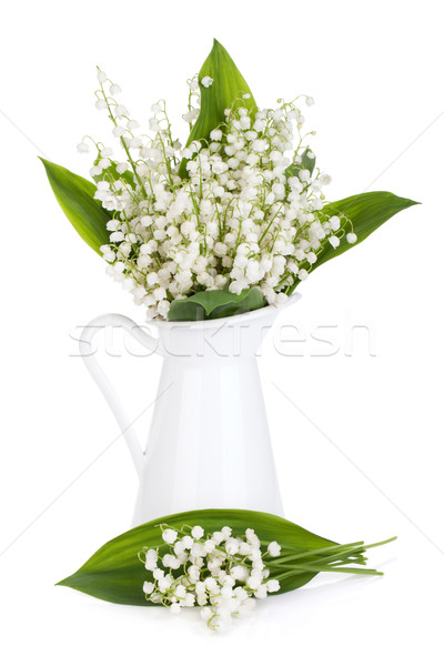 Stock photo: Lily of the valley