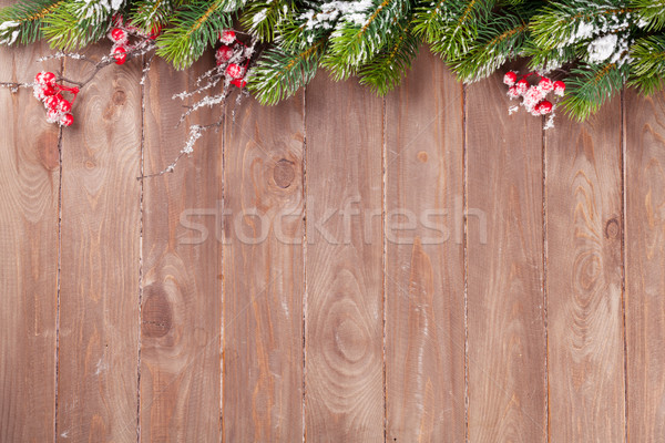 Christmas śniegu widoku kopia przestrzeń Zdjęcia stock © karandaev