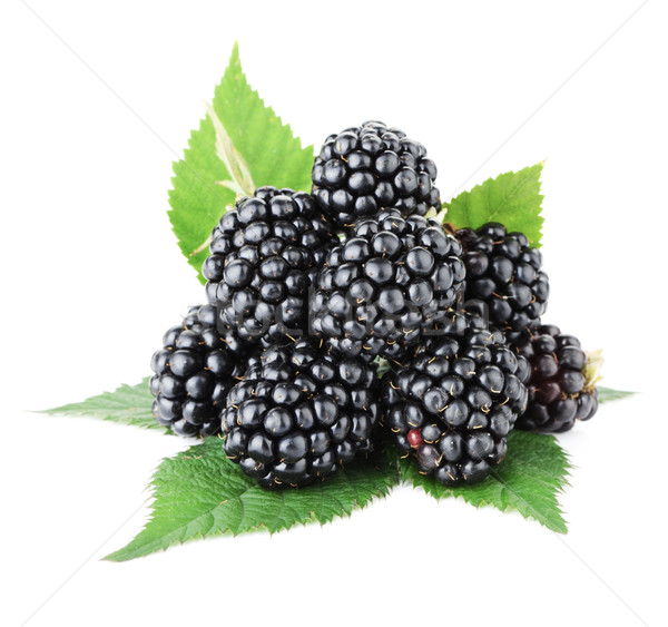 Ripe blackberry fruits Stock photo © karandaev