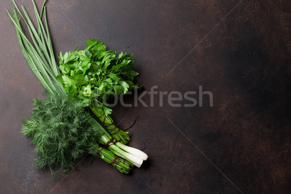 Dill, spring onion and parsley. Herbs and spices Stock photo © karandaev