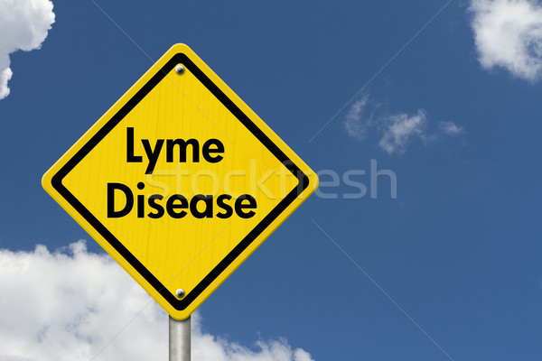 Betegség figyelmeztetés jelzőtábla citromsárga vigyázat felirat Stock fotó © karenr