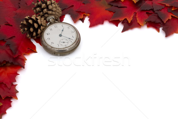 Autumn Time Background Stock photo © karenr
