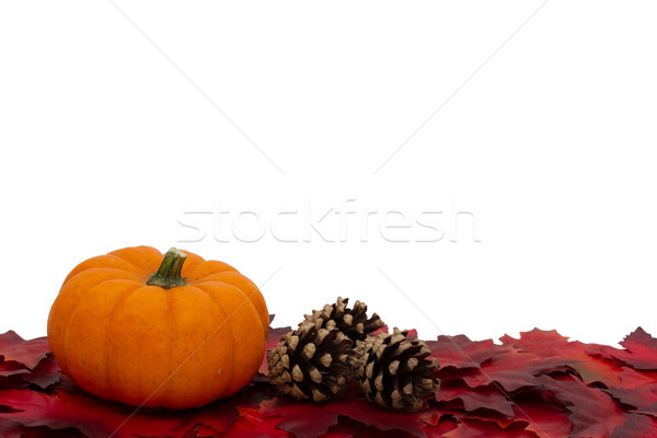 Autumn Time Background Stock photo © karenr