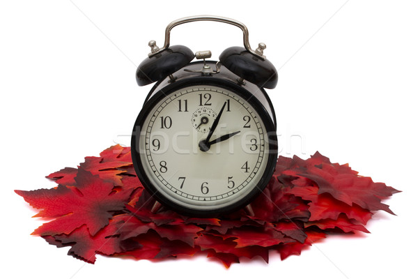 Autumn Time Stock photo © karenr