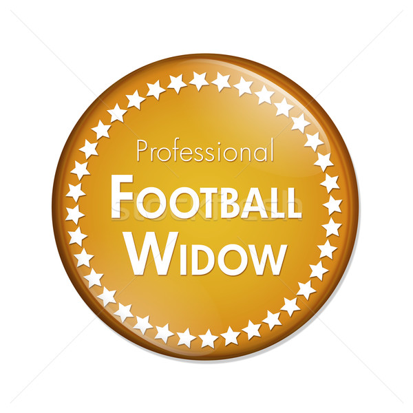 профессиональных футбола вдова кнопки оранжевый белый Сток-фото © karenr