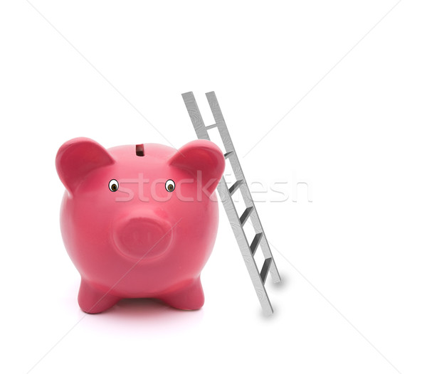 épület megtakarított pénz rózsaszín persely létra izolált Stock fotó © karenr