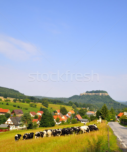 Saxony switzerland Stock photo © karin59