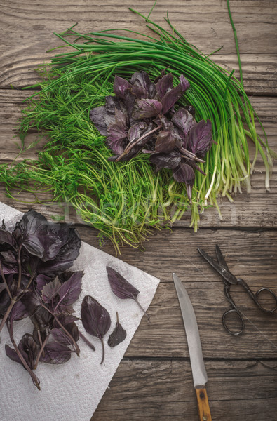 Garden fresh herbs basil, dill on the wooden table Stock photo © Karpenkovdenis