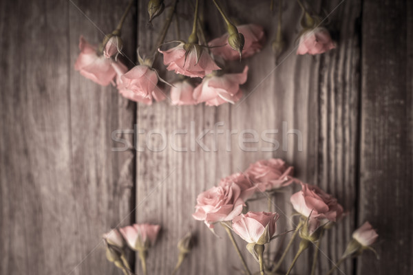 Stok fotoğraf: Güller · ahşap · masa · yatay · çiçekler · arka · plan · uzay