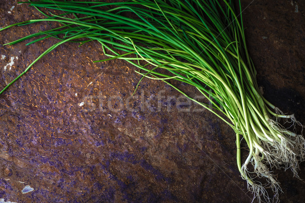 Zöldhagyma gyökerek kő asztal vízszintes étel Stock fotó © Karpenkovdenis