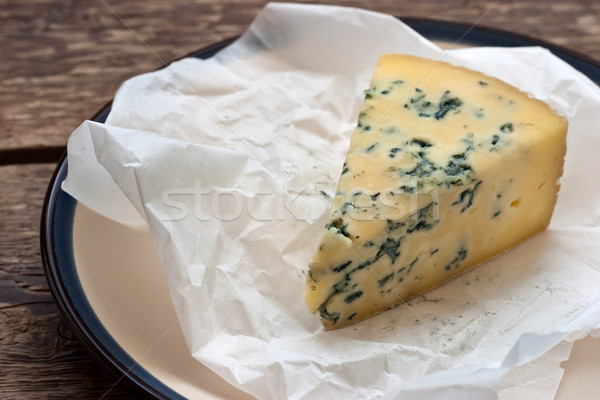 Cheese with a blue mold on the paper Stock photo © Karpenkovdenis