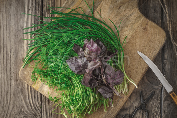 Fresh herbs and a knife on a cutting board Stock photo © Karpenkovdenis