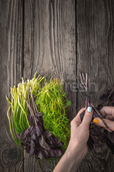 A woman prepares village fresh herbs Stock photo © Karpenkovdenis