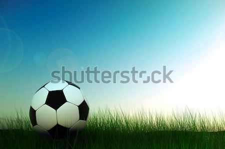 Piłka trawy 3D obraz piłka nożna dziedzinie Zdjęcia stock © kash76