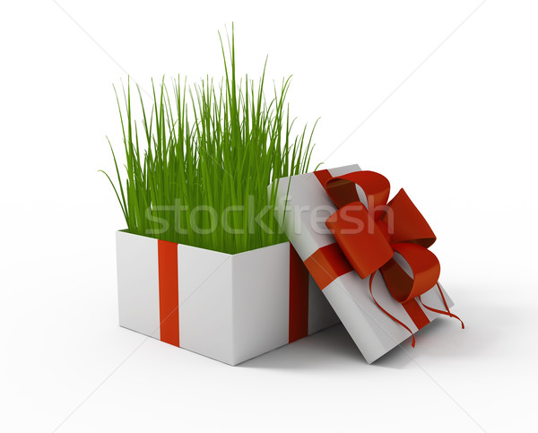 Gras Geschenkbox weiß 3D Bild Stock foto © kash76