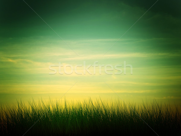 Foto stock: Puesta · de · sol · silueta · hierba · nubes · sol · naturaleza