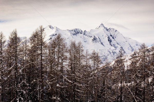 Gyönyörű hegy tájkép Ausztria Alpok égbolt Stock fotó © kasjato