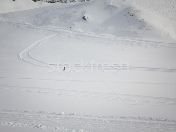 Cross-country skier  Stock photo © kasjato