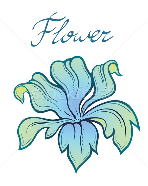 Vecteur décoratif couleur été fleur vecteur fleur [[stock_photo]] © katya_sorokopudo