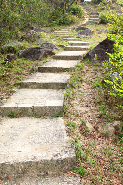 Hiking steps in mountains Stock photo © kawing921