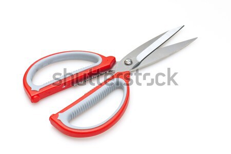 красный ножницы изолированный белый служба моде Сток-фото © kawing921