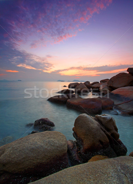 Stockfoto: Zonsondergang · lange · blootstelling · kust · boom · landschap · achtergrond