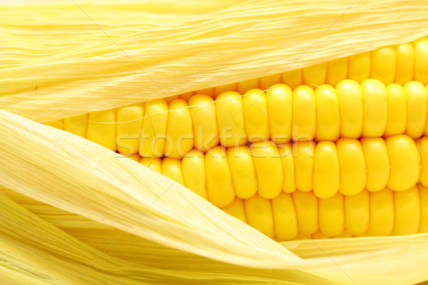 Kukorica közelkép természet gyümölcs egészség háttér Stock fotó © kawing921