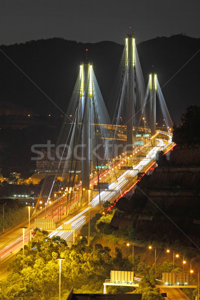 Ting Kau Bridge at night Stock photo © kawing921