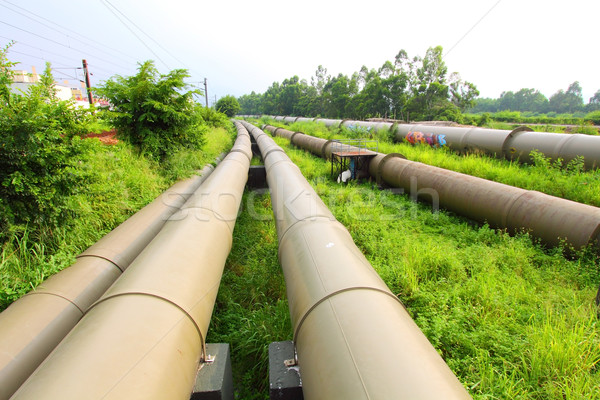 Industrial pipes usina negócio grama Foto stock © kawing921