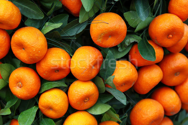 Narancsfa ünnepel kínai új év virág fa fény Stock fotó © kawing921