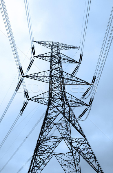 Electric tower and cables Stock photo © kawing921