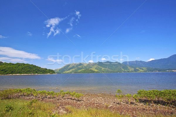 Coastal landscape in Hong Kong Geo Park Stock photo © kawing921