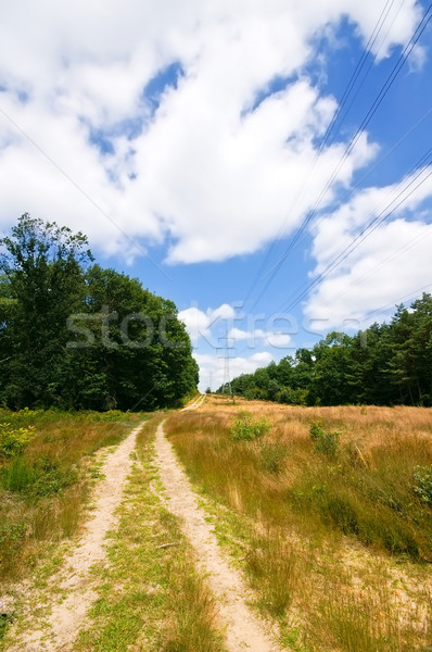 Sandigen Straße blauer Himmel Sand Weg ländlichen Stock foto © kaycee