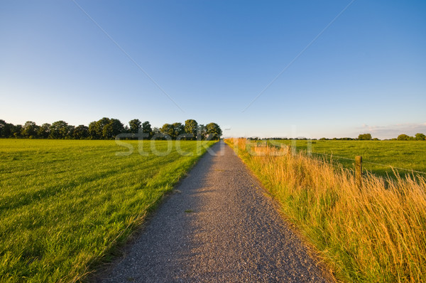 Vidéki út késő délután égbolt természet zöld Stock fotó © kaycee