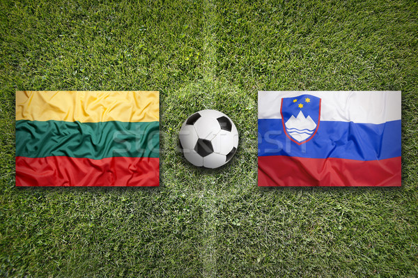 Stock photo: Lithuania vs. Slovenia flags on soccer field