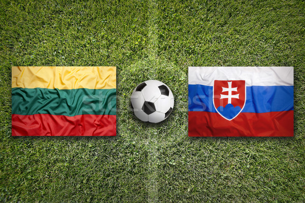 Lithuania vs. Slovakia flags on soccer field Stock photo © kb-photodesign