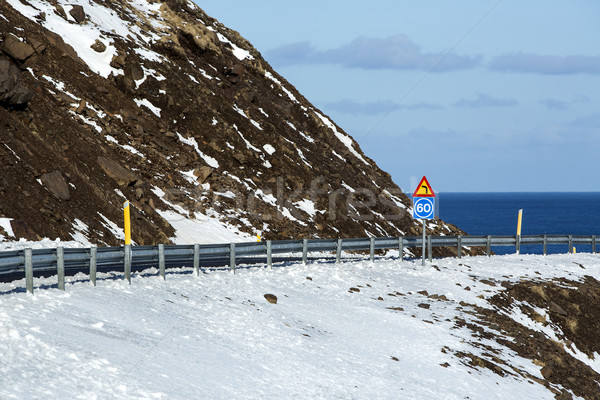 Ring road in Iceland, spring Stock photo © kb-photodesign